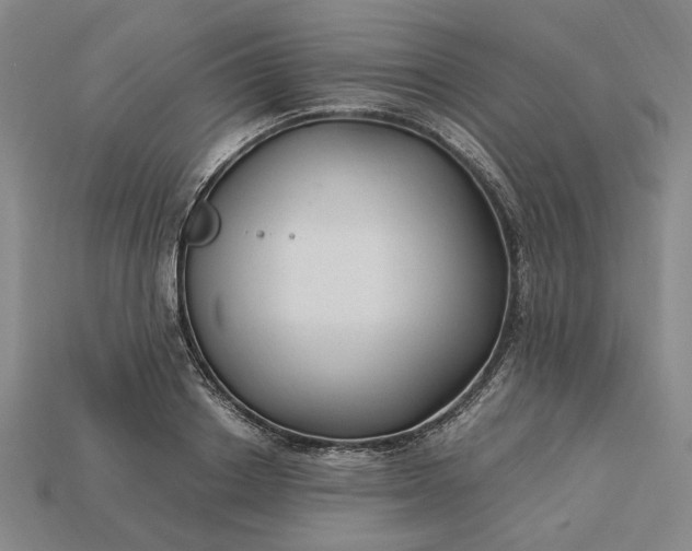 X0000115260842200911131744