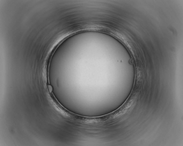 X0000115260843200911131744