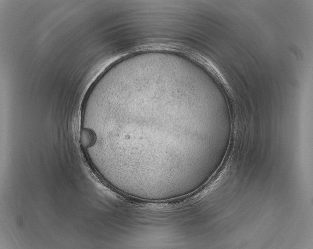 X0000115260844200911131744