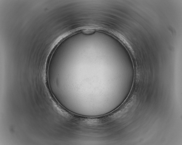X0000115260845200911131744