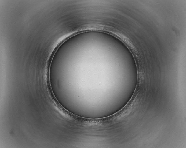 X0000115260846200911131744