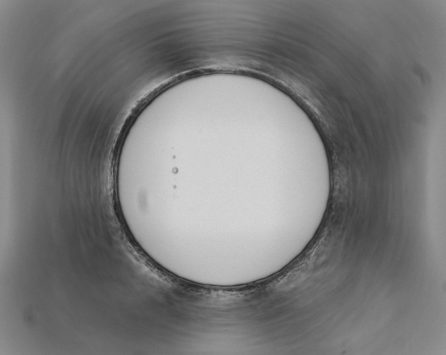 X0000115260848200911131745