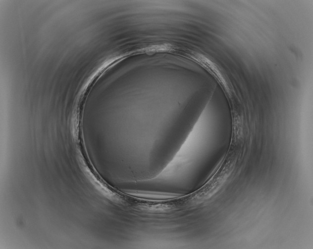 X0000115260851200911131745