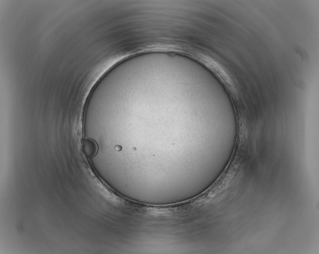 X0000115260852200911131745