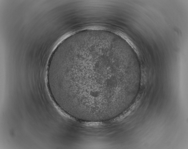 X0000115260853200911131745