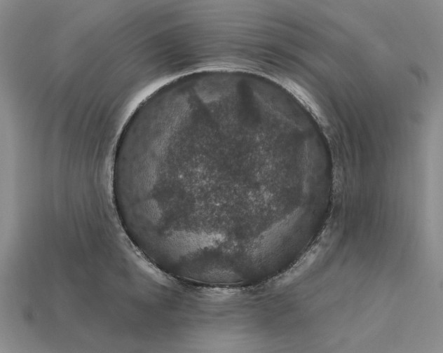 X0000115260854200911131745