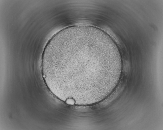 X0000115260856200911131745