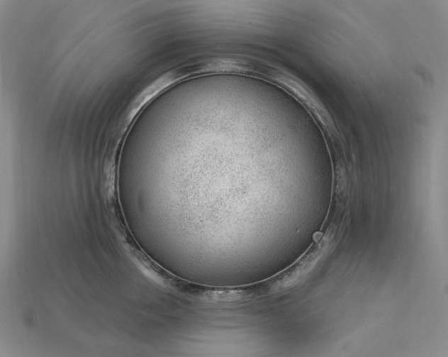 X0000115260858200911131745