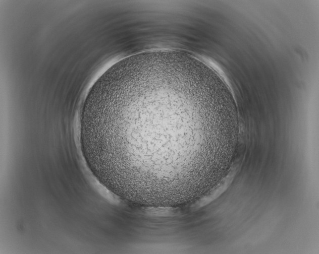 X0000115260859200911131745