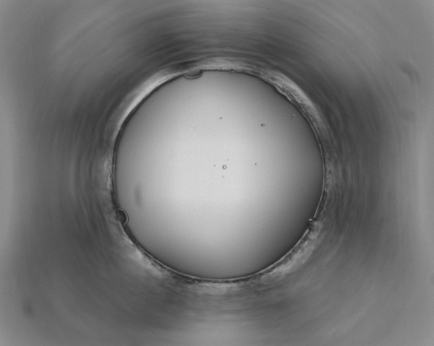 X0000115260860200911131745