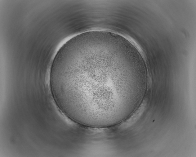 X0000115260862200911131745