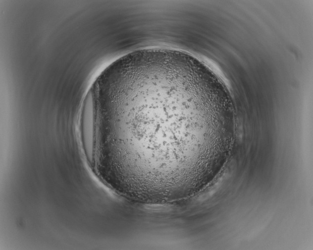 X0000115260863200911131745