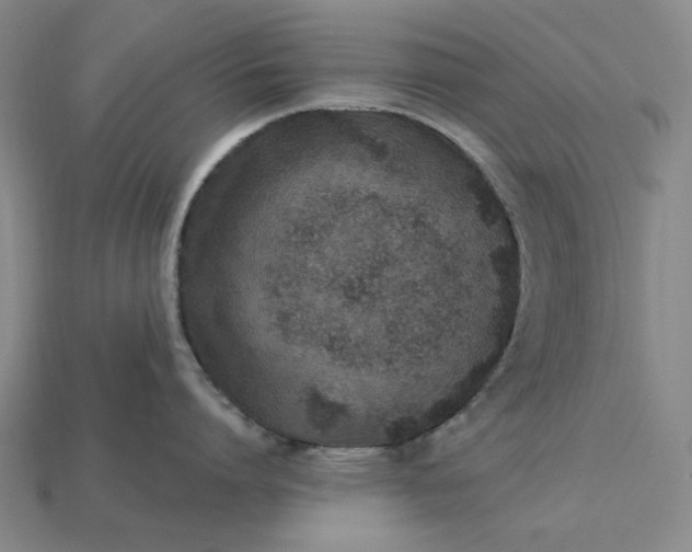 X0000115260864200911131745