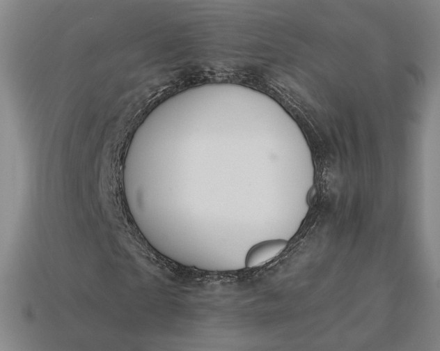 X0000115260865200911131744