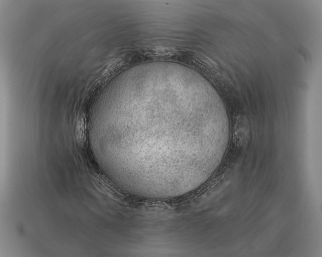 X0000115260866200911131744