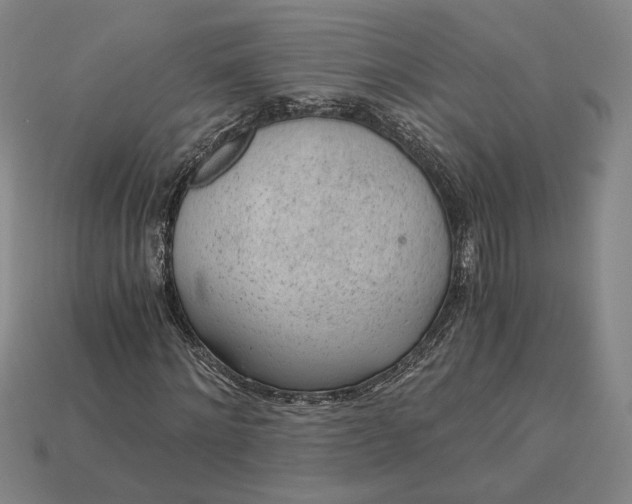 X0000115260868200911131744