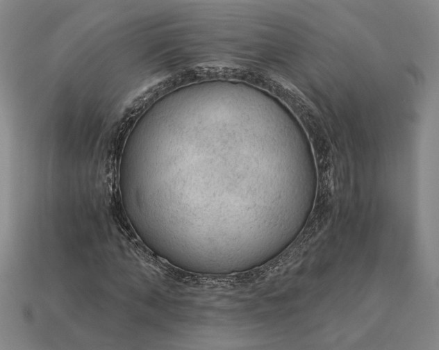 X0000115260870200911131744