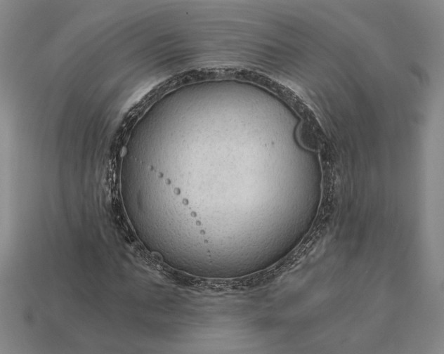 X0000115260871200911131744