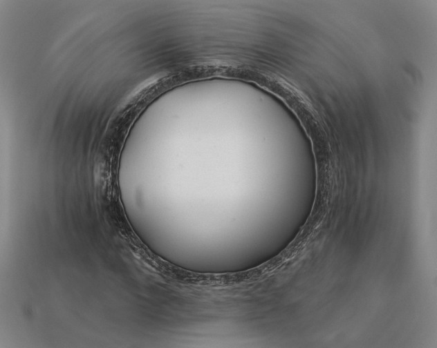 X0000115260872200911131744