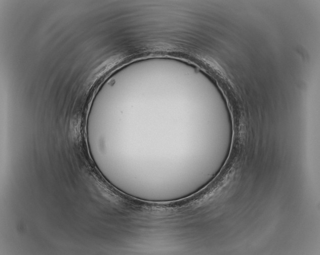 X0000115260873200911131744