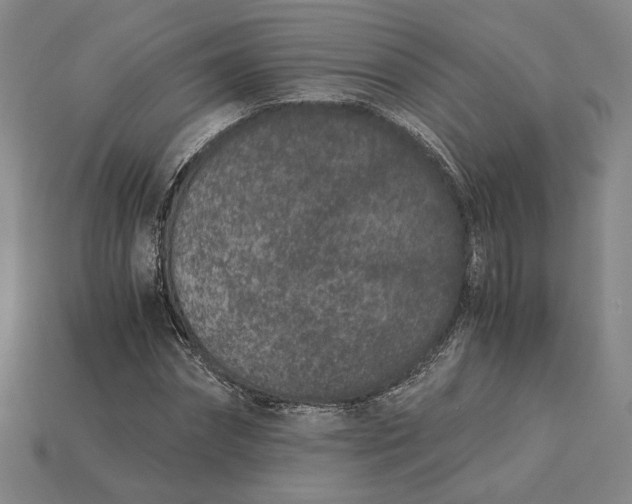 X0000115260874200911131744