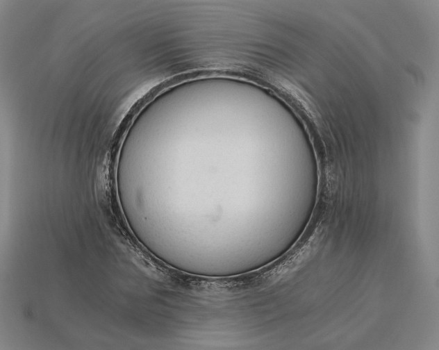 X0000115260875200911131744