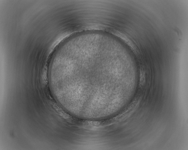 X0000115260878200911131744