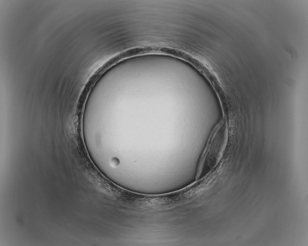 X0000115260879200911131744