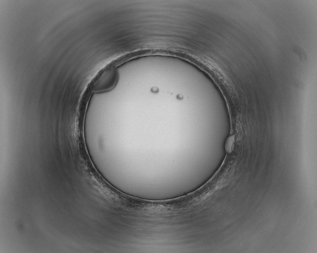 X0000115260880200911131744