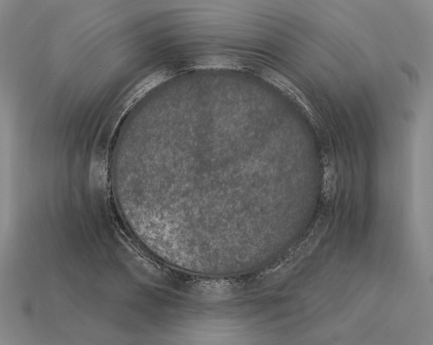X0000115260882200911131744