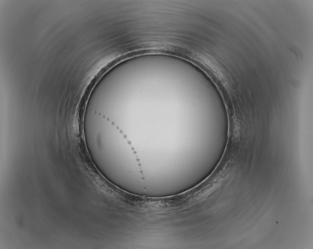 X0000115260883200911131744