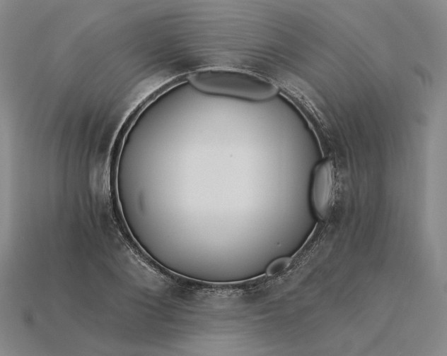 X0000115260884200911131744