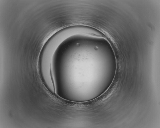 X0000115260885200911131744