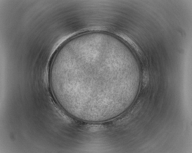 X0000115260886200911131744