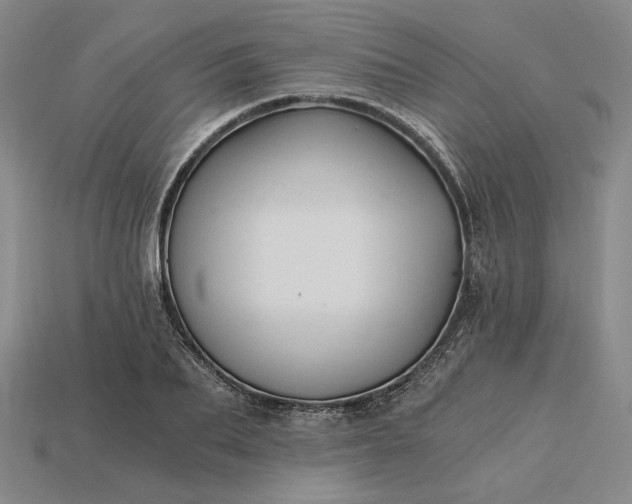 X0000115260887200911131744