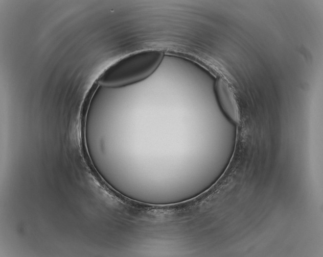 X0000115260888200911131744