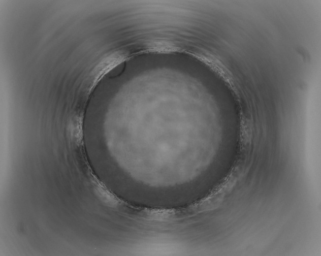 X0000115260889200911131744