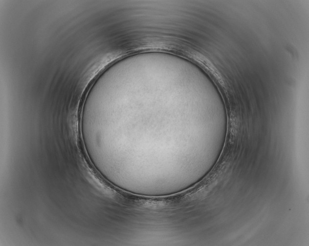 X0000115260890200911131744
