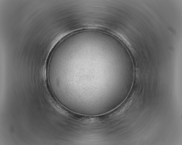 X0000115260891200911131744