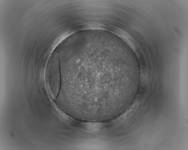 X0000115260893200911131744