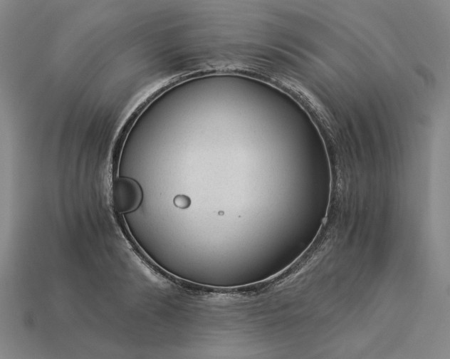 X0000115260894200911131744