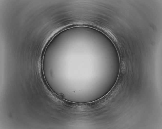 X0000115260895200911131744