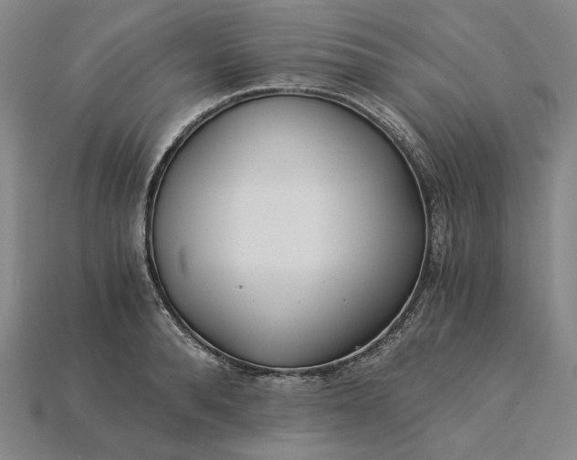 X0000115260896200911131744