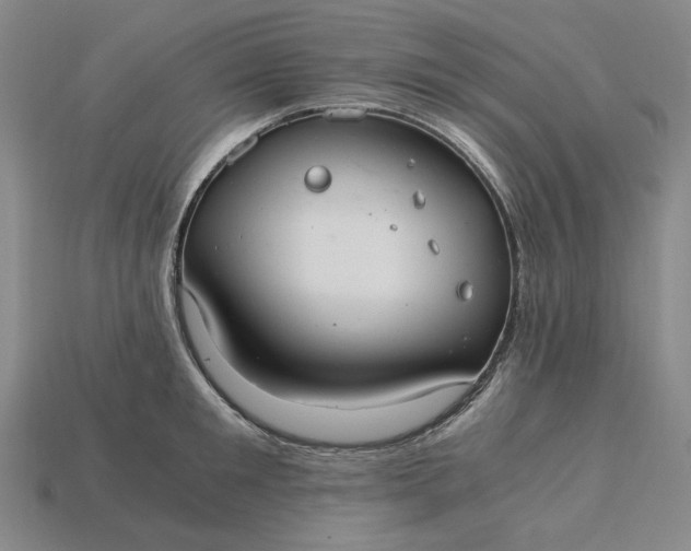 X0000115260901200911131743