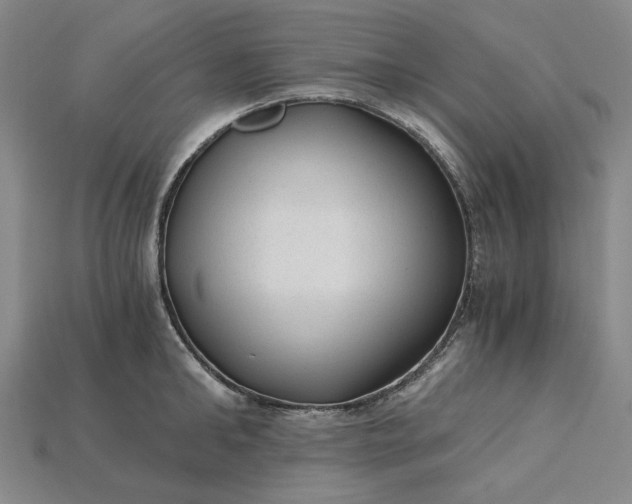 X0000115260902200911131743
