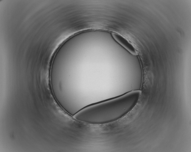 X0000115260904200911131743