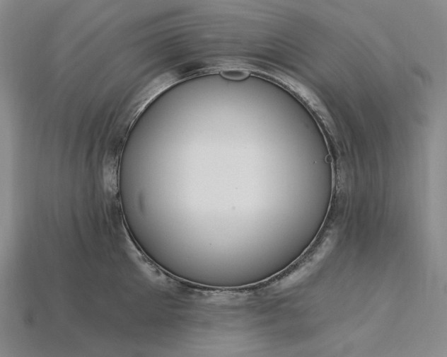 X0000115260905200911131743