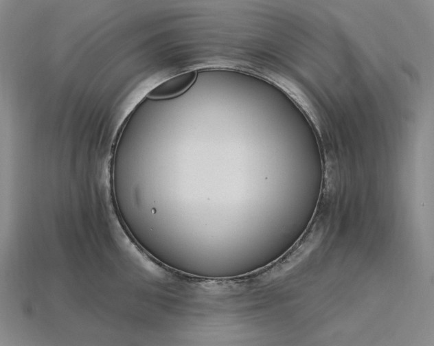 X0000115260906200911131743