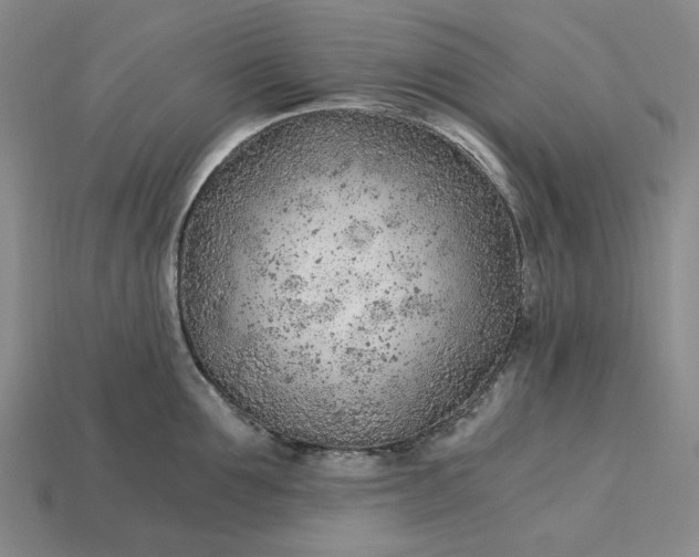 X0000115260907200911131743