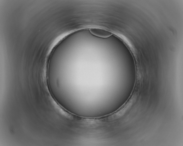 X0000115260910200911131743